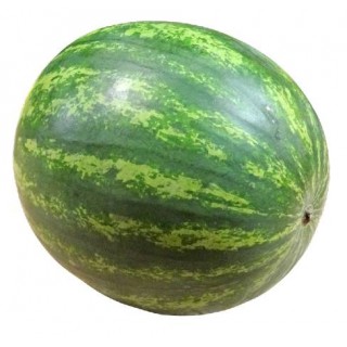Watermelon, Seedless <br>**Call for PRICE**
