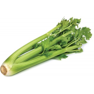 Celery <br>**Call for PRICE**
