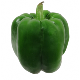 Green Pepper <br>**Call for PRICE**