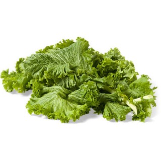 Mustard Greens, Curly <br>**Call for PRICE**