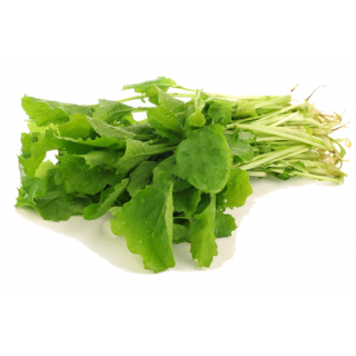 Turnip Greens <br>**Call for PRICE**