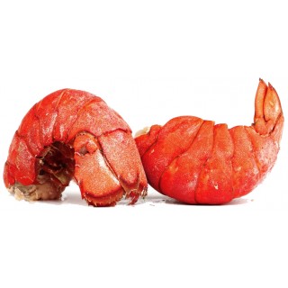 Lobster Tails <br>**Call for PRICE**